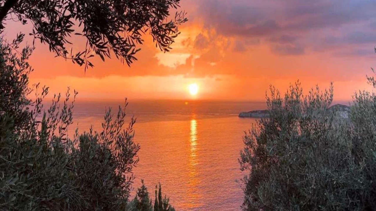 Photo of Others in Afionas