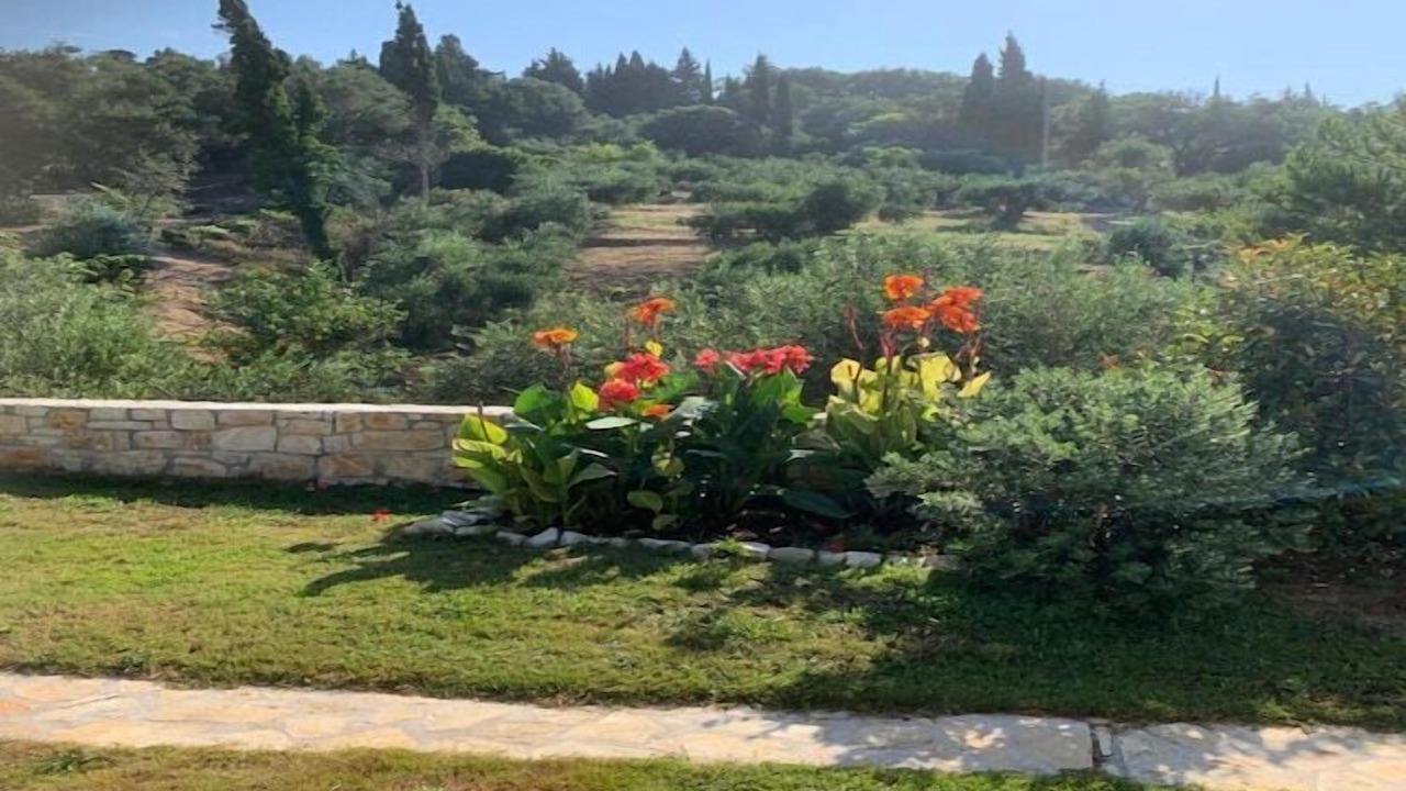 Photo of Outdoor in Afionas