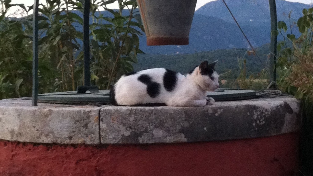 Photo of Others in Paleokastritsa