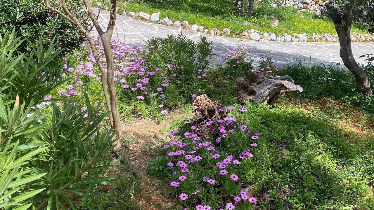 Photo of Outdoor in Milatos