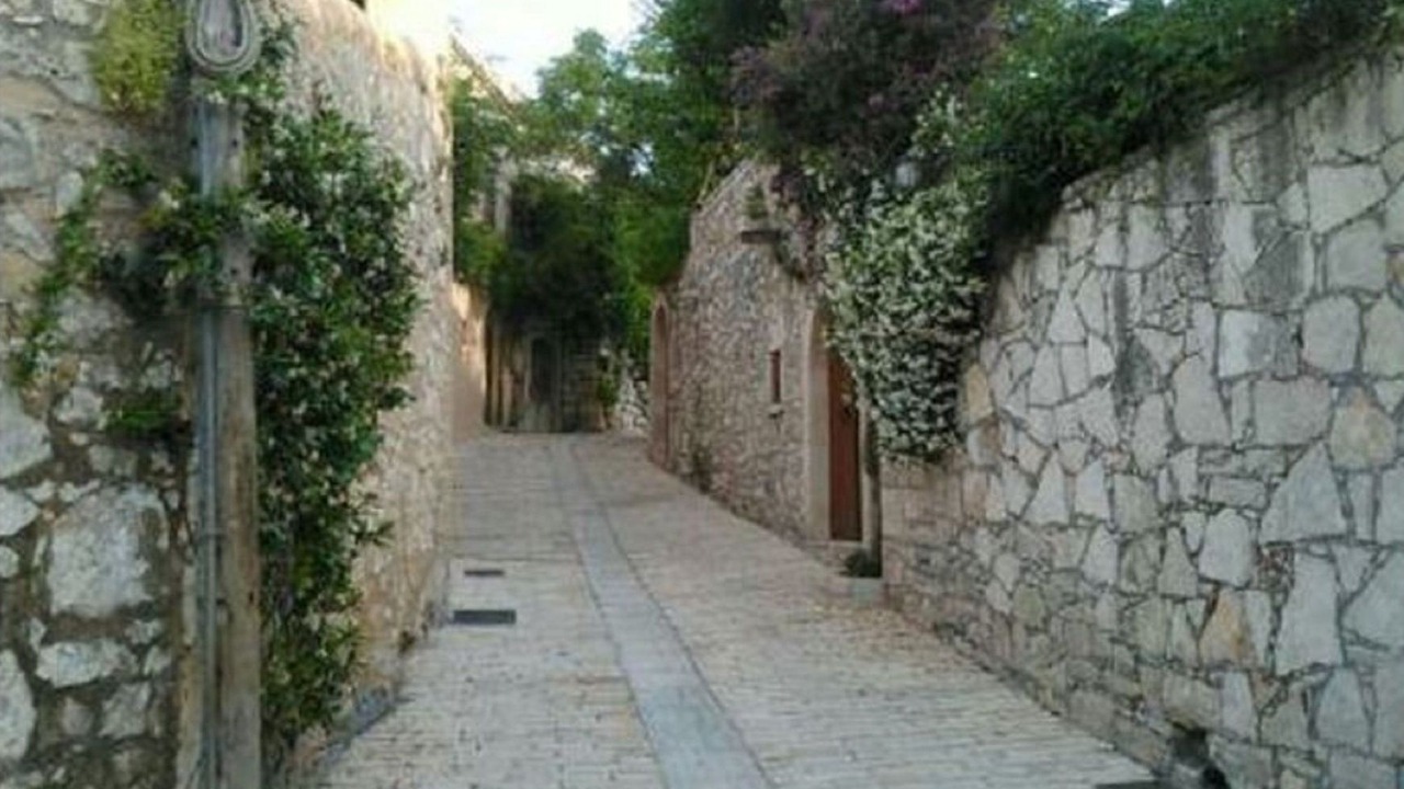 Photo of Others in Margarites