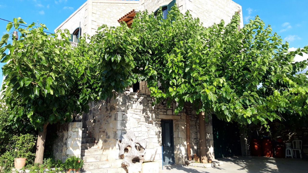 Photo of Others in Margarites