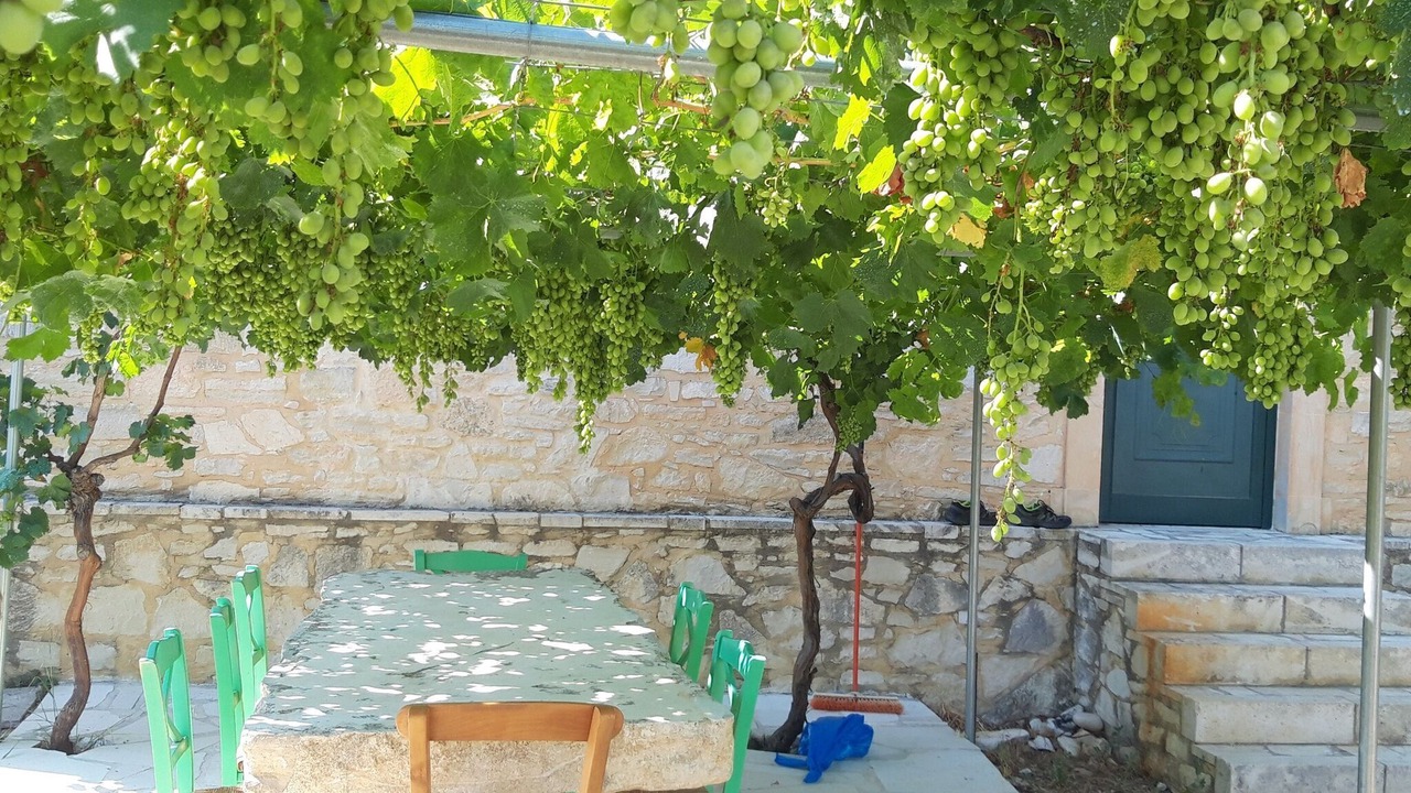 Photo of Outdoor in Margarites