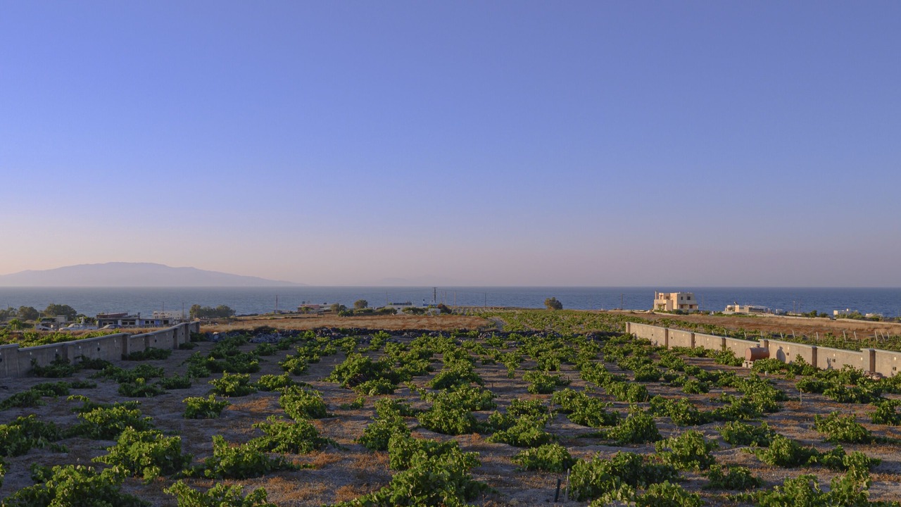 Photo of Outdoor in Finikia