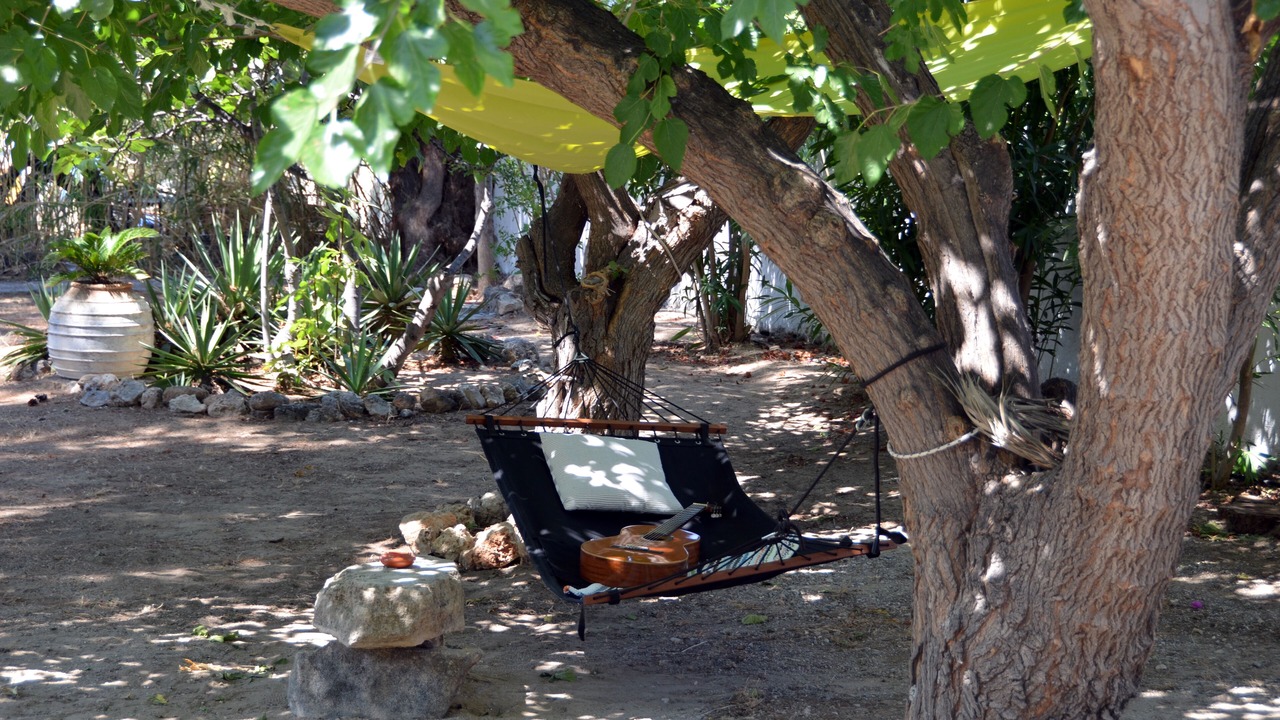 Photo of Outdoor in Pefkos