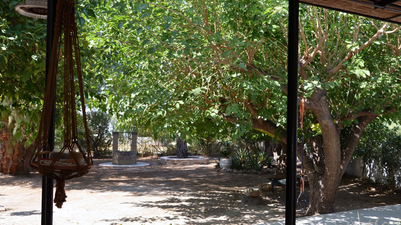 Photo of Outdoor in Pefkos