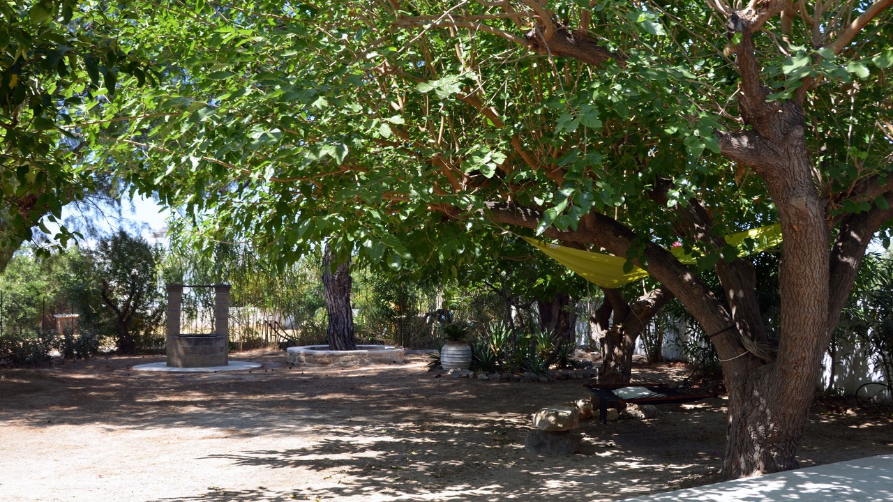Photo of Outdoor in Pefkos