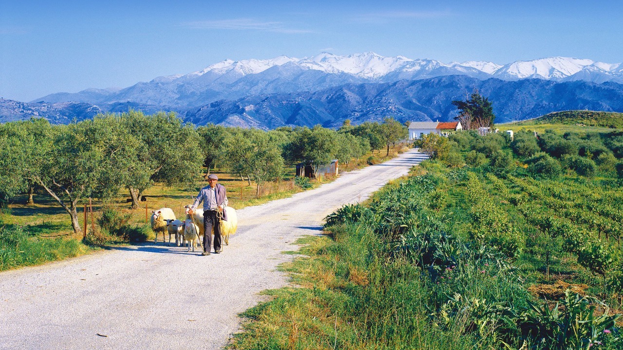 Photo of Outdoor in Almyrida