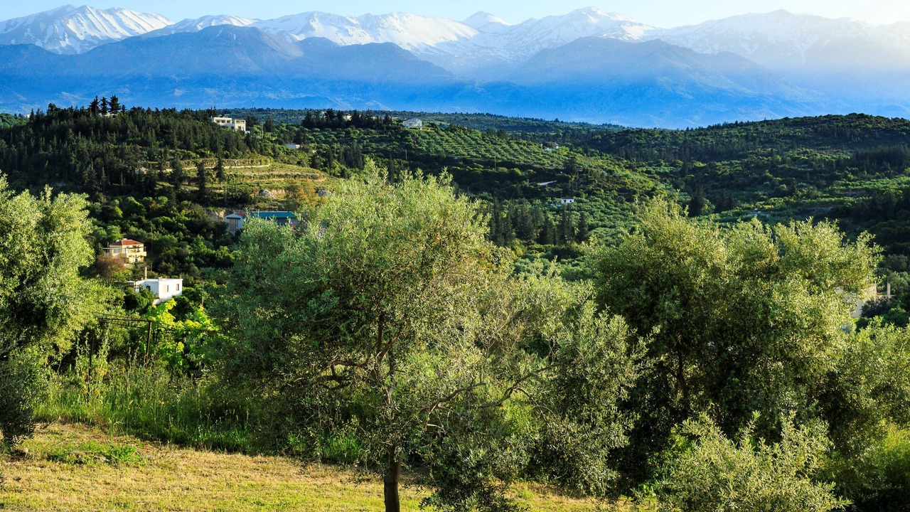 Photo of Outdoor in Almyrida