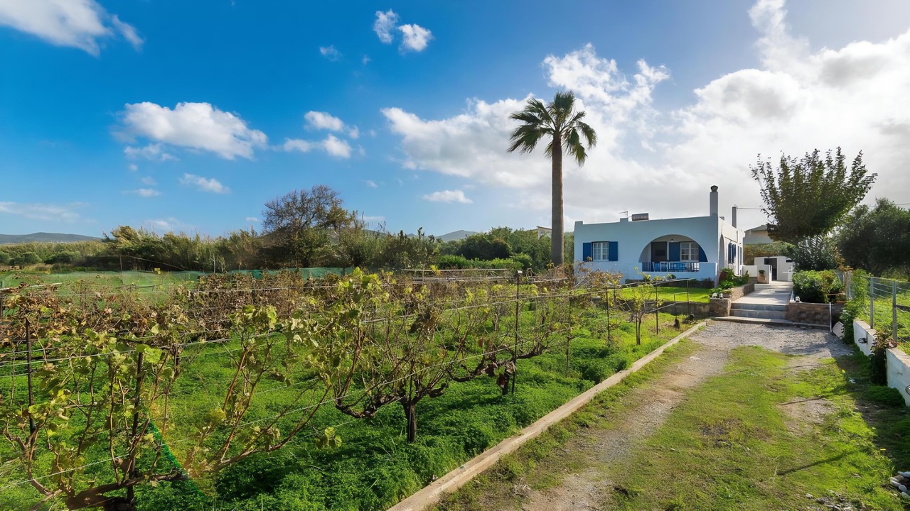 Photo of Outdoor in Korfalonas