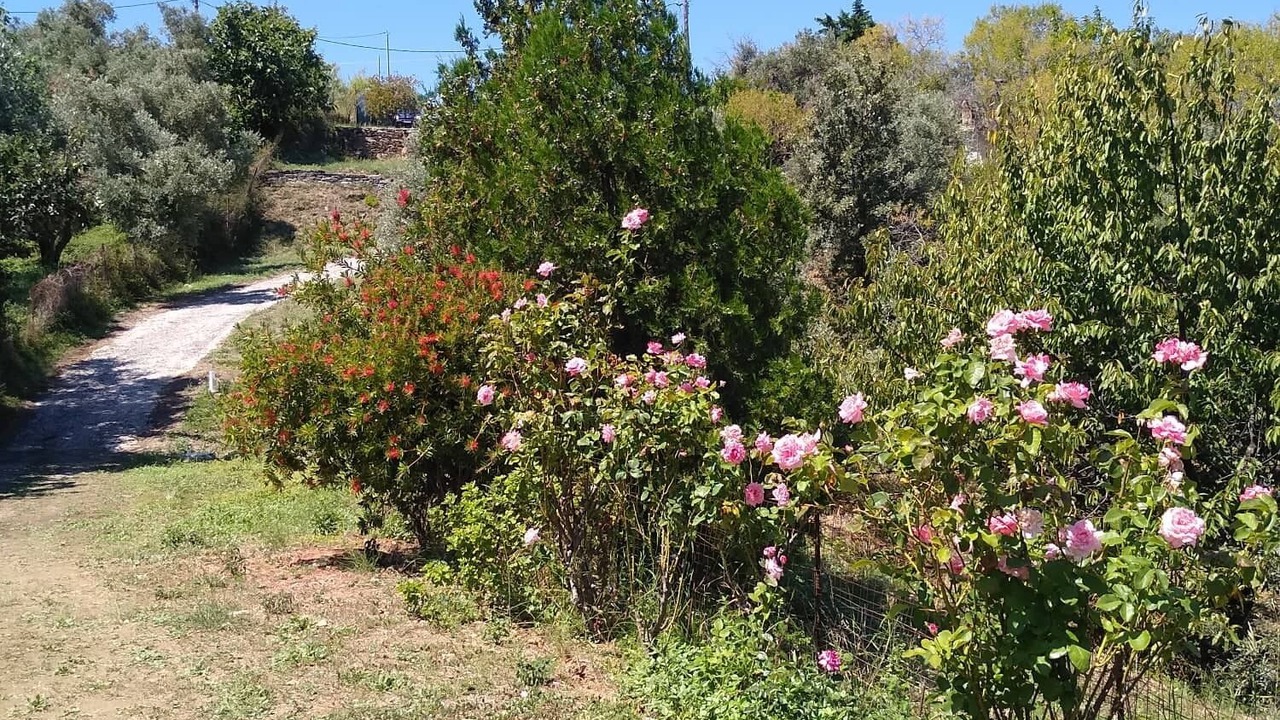 Photo of Outdoor in Xanthi Region