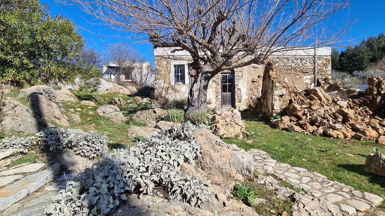 Photo of Outdoor in Lagoudi Zia