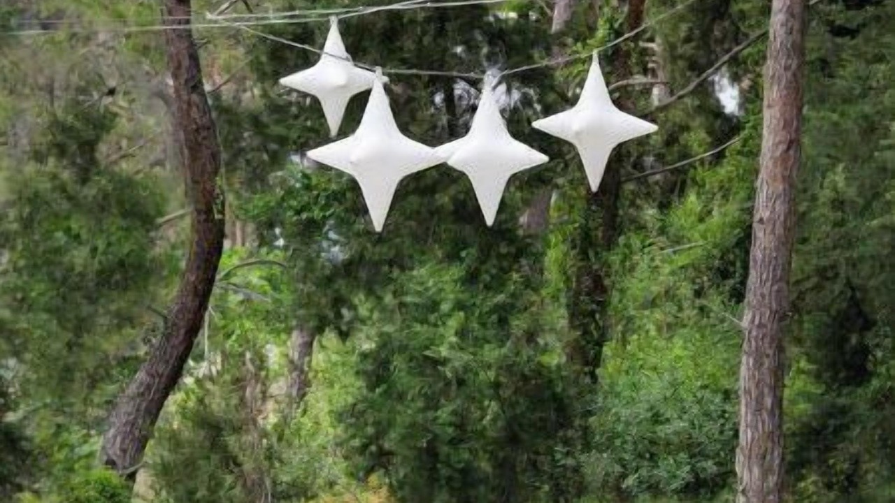 Photo of Outdoor in Ixia