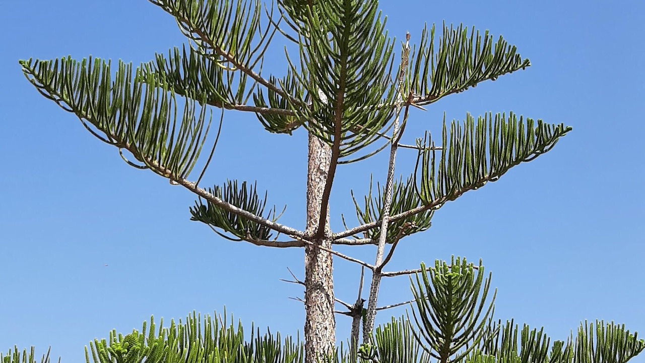 Photo of Outdoor in Kaki Thalassa