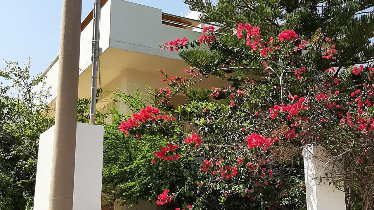 Photo of Outdoor in Kaki Thalassa