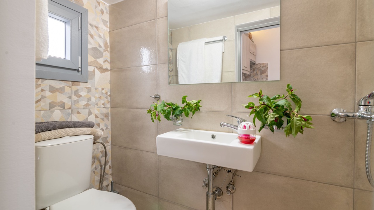Photo of Bathroom in Skinaria