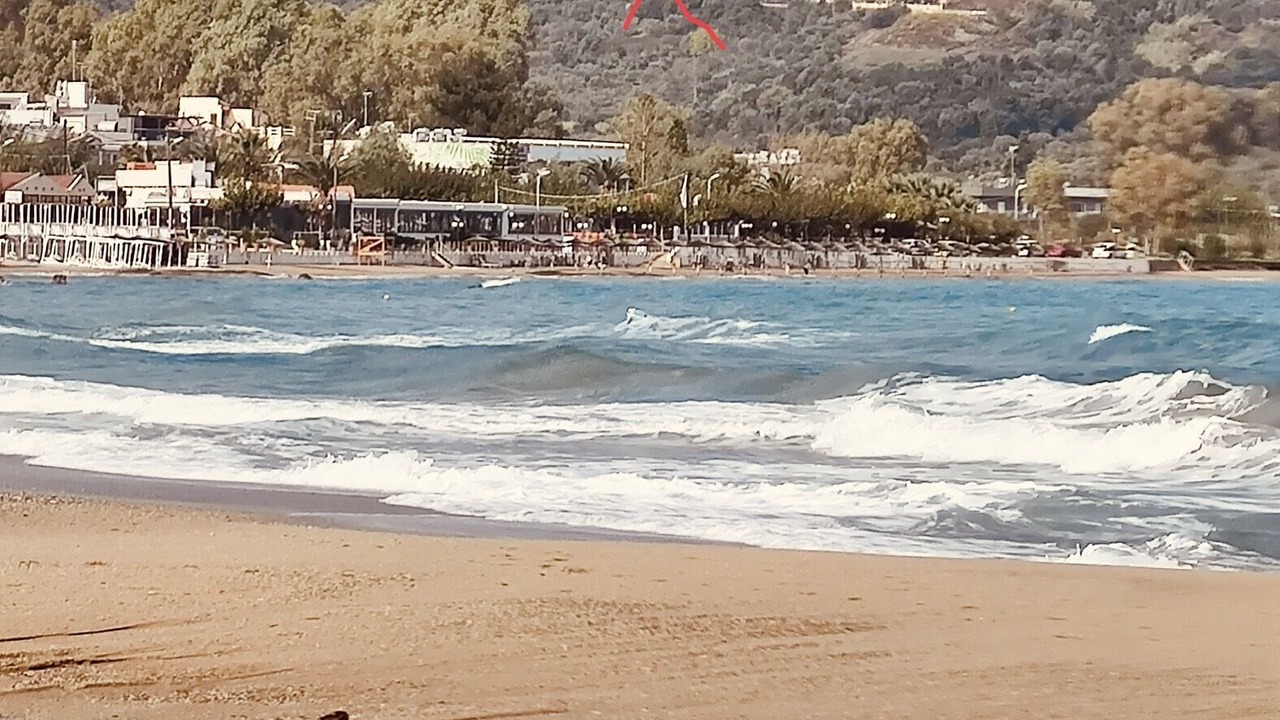Photo of Others in Exopoli