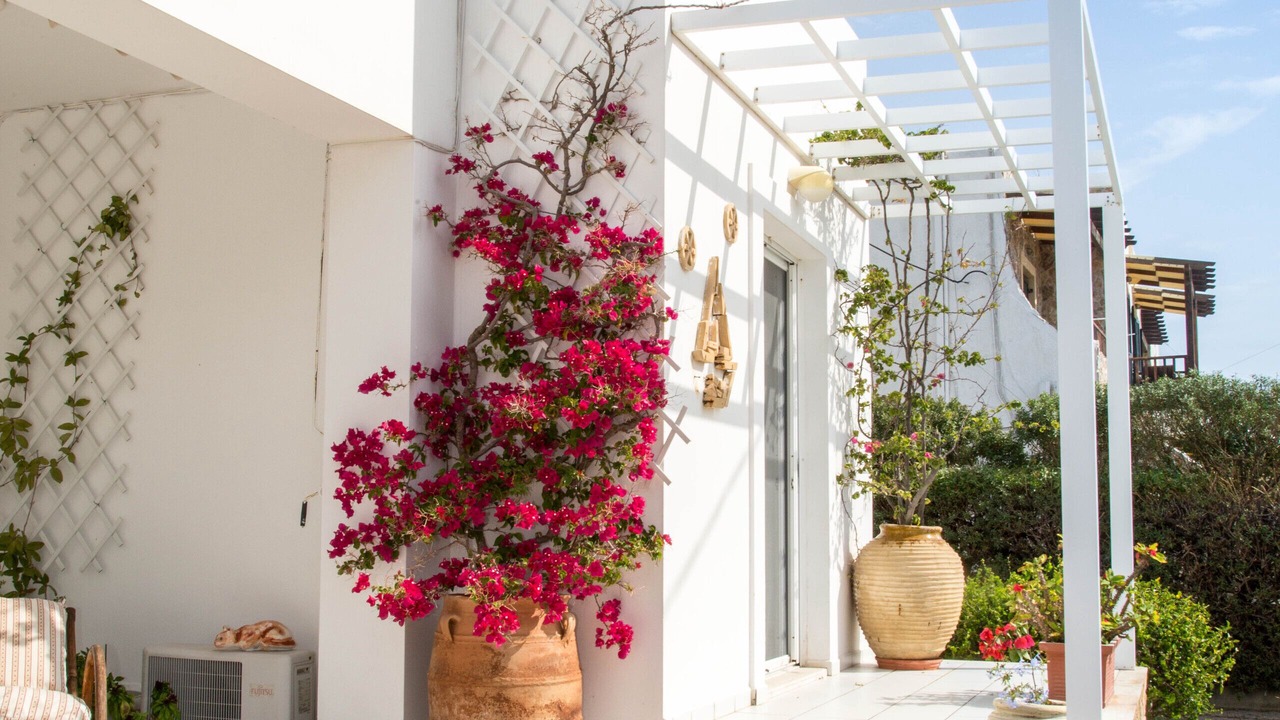 Photo of Patio Balcony in Alinda