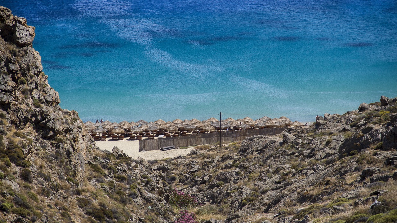 Photo of Others in Elia
