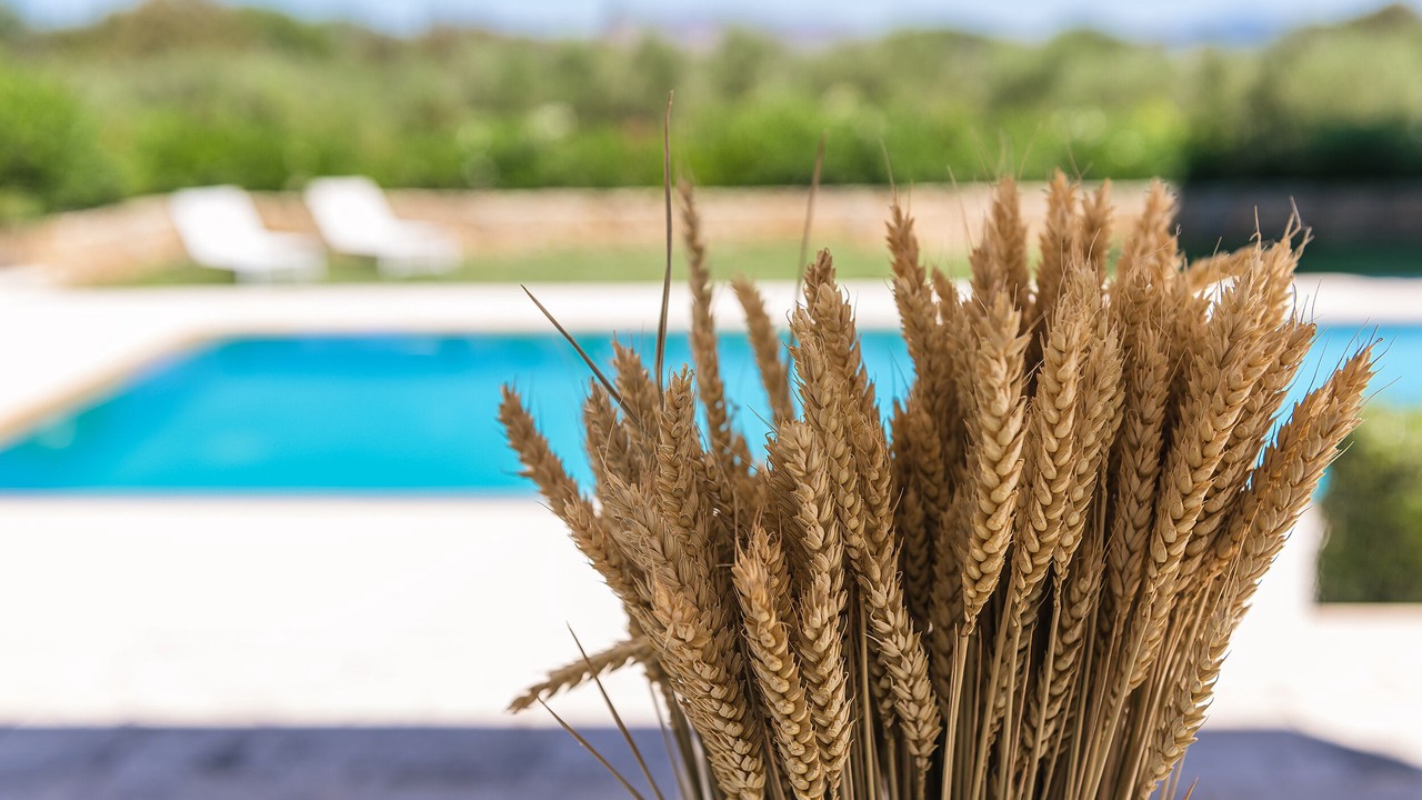 Photo of Outdoor in Kos