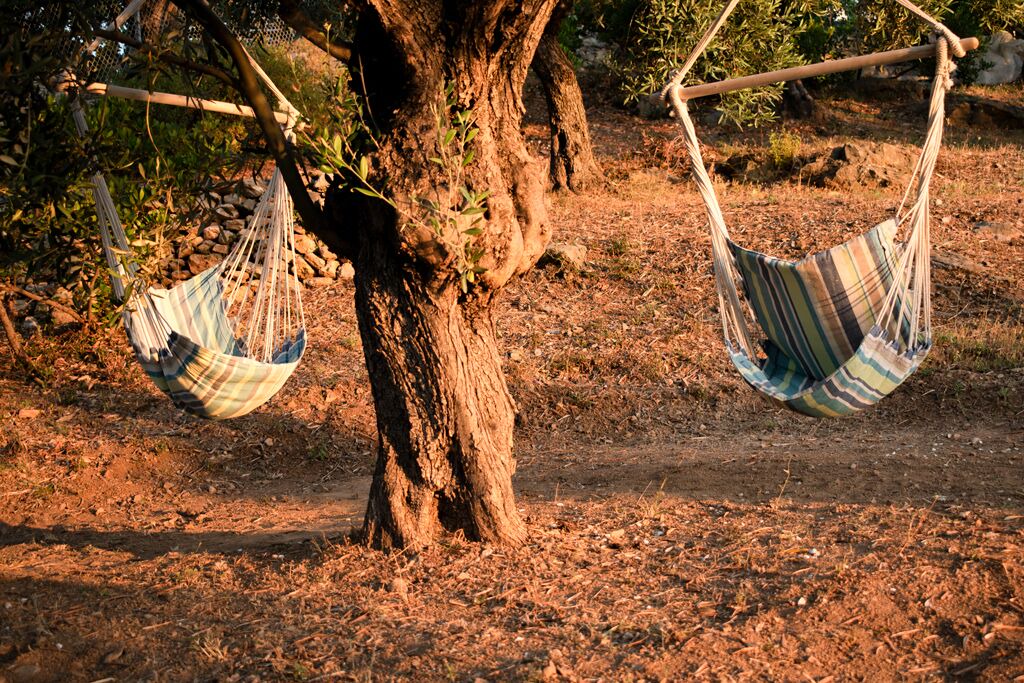 Photo of Outdoor in Steni Vala
