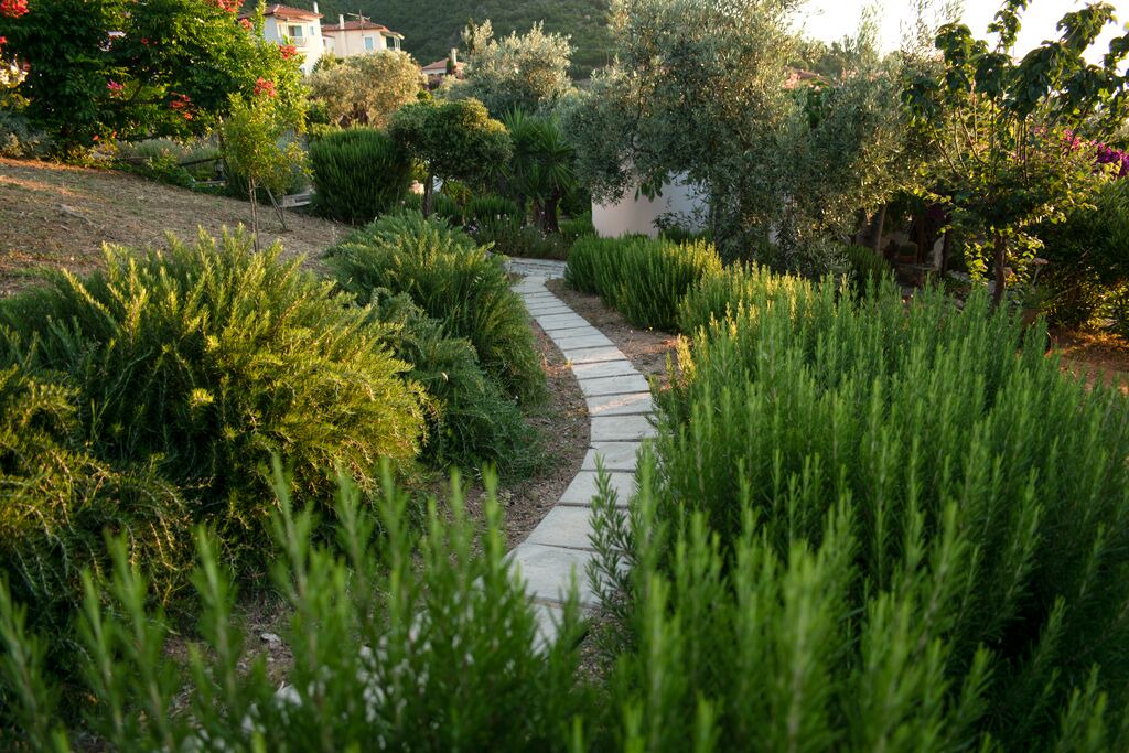 Photo of Outdoor in Steni Vala