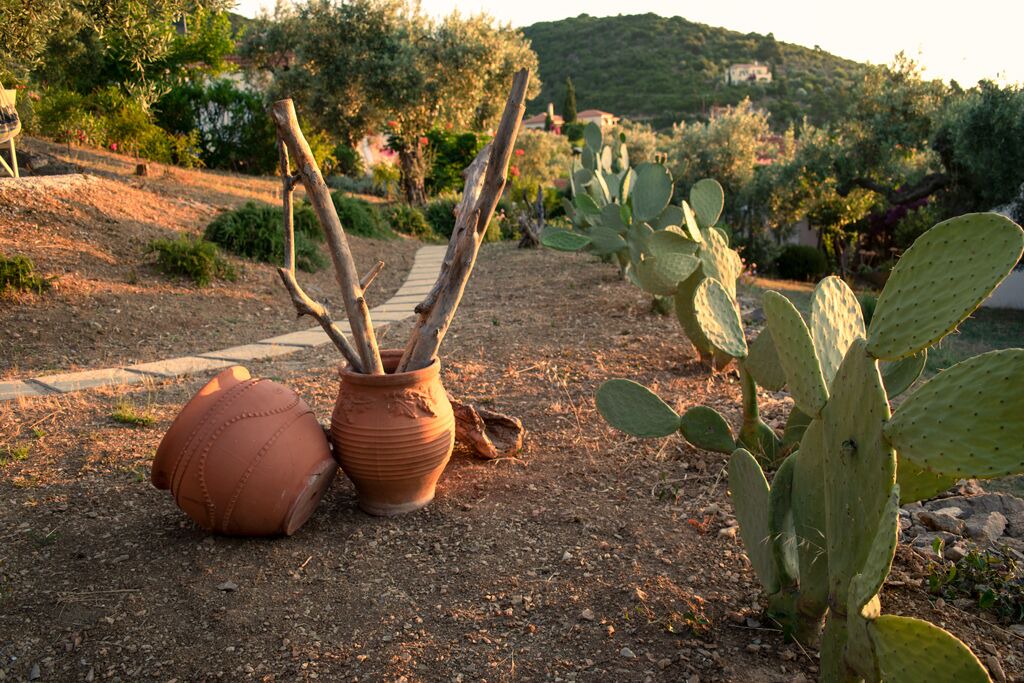 Photo of Outdoor in Steni Vala