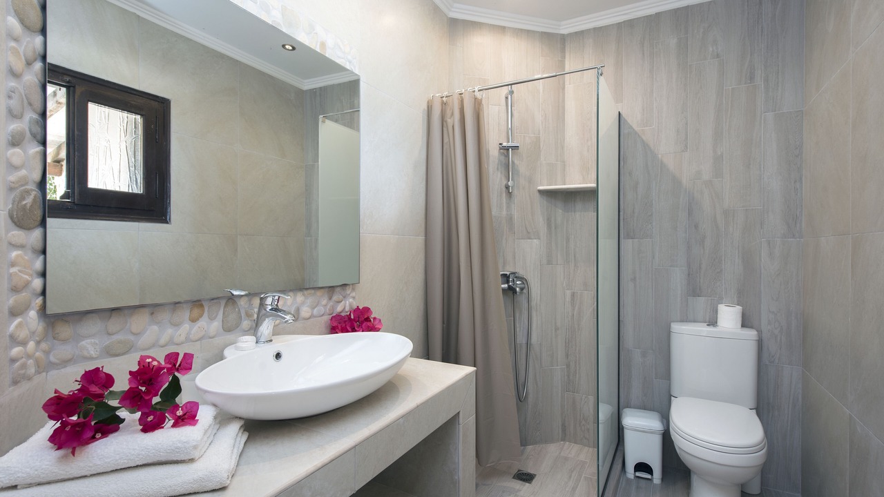 Photo of Bathroom in Apraos