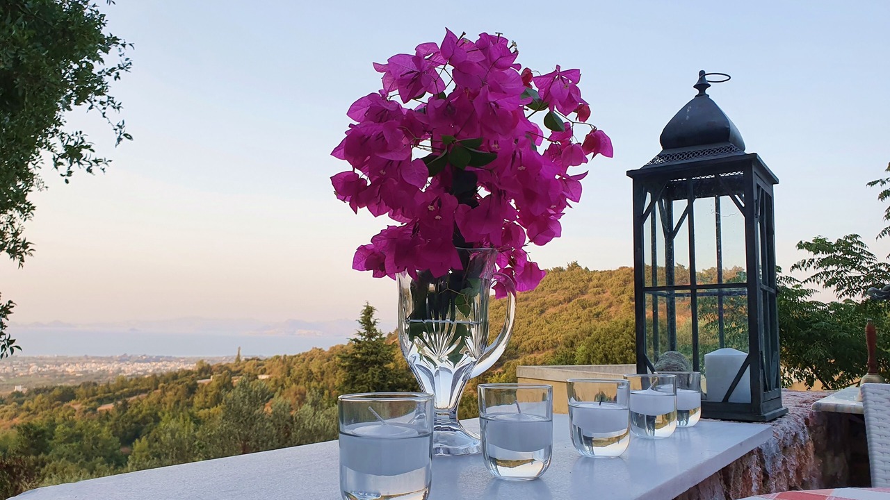 Photo of Outdoor in Lagoudi Zia