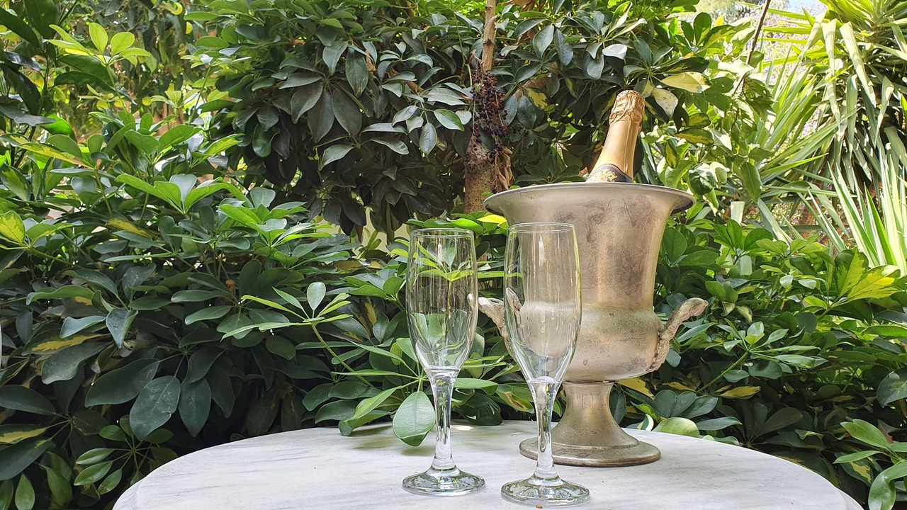 Photo of Outdoor in Lagoudi Zia