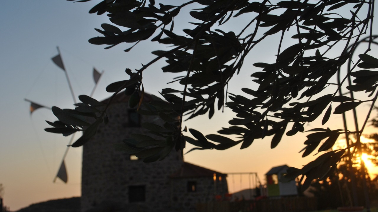 Photo of Outdoor in Volissos