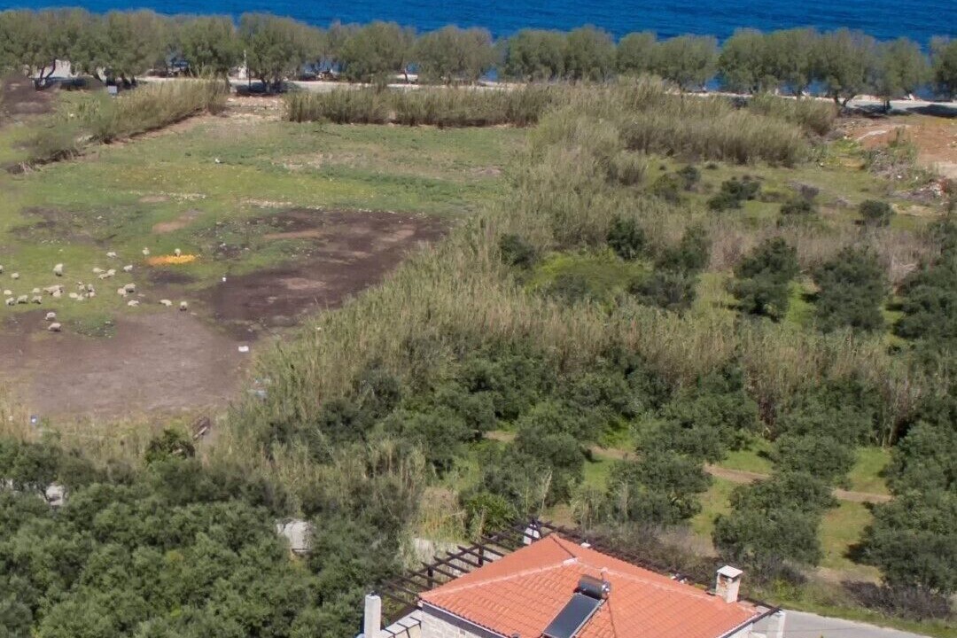 Photo of Outdoor in Tavronitis