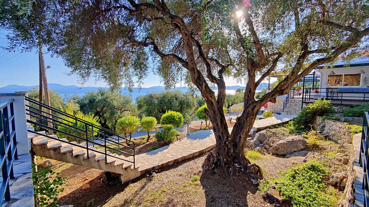 Photo of Outdoor in Barbati