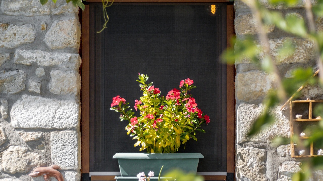 Photo of Outdoor in Spanochori