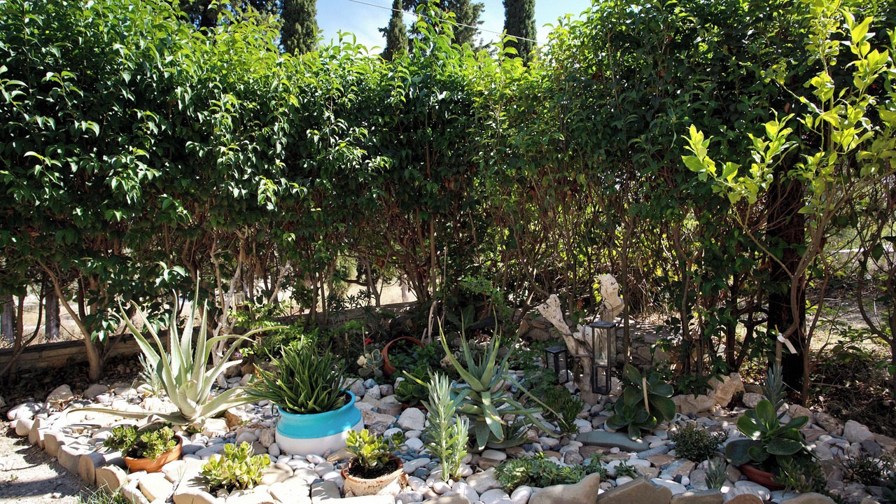 Photo of Outdoor in Lithakia