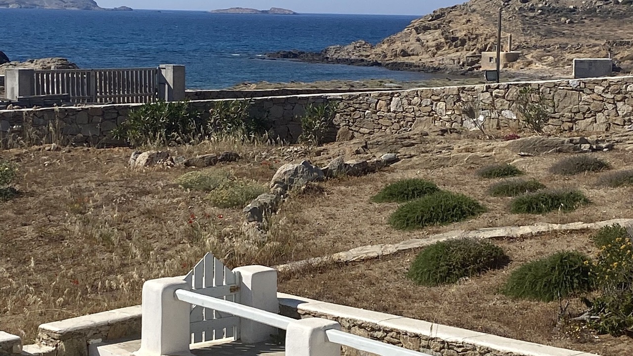 Photo of Others in Ftelia