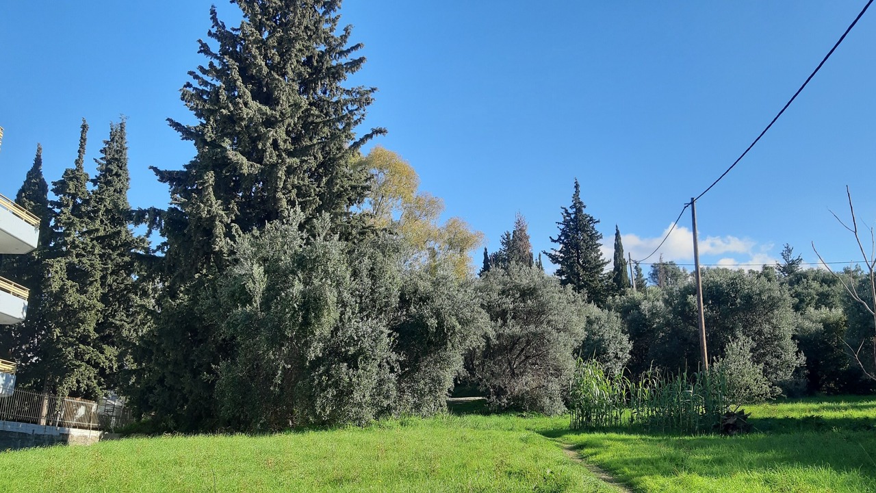 Photo of Outdoor in Patras