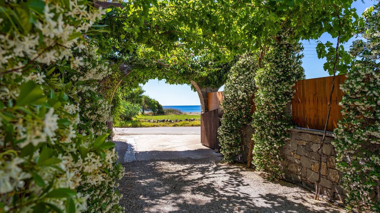 Photo of Outdoor in Kiotari