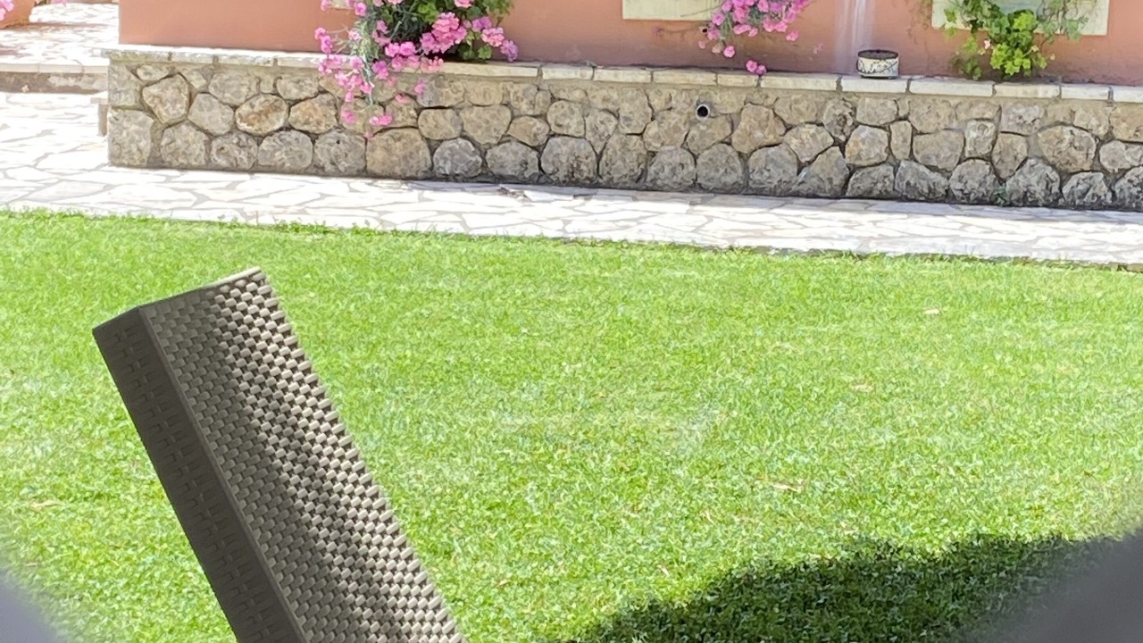 Photo of Others in Dassia