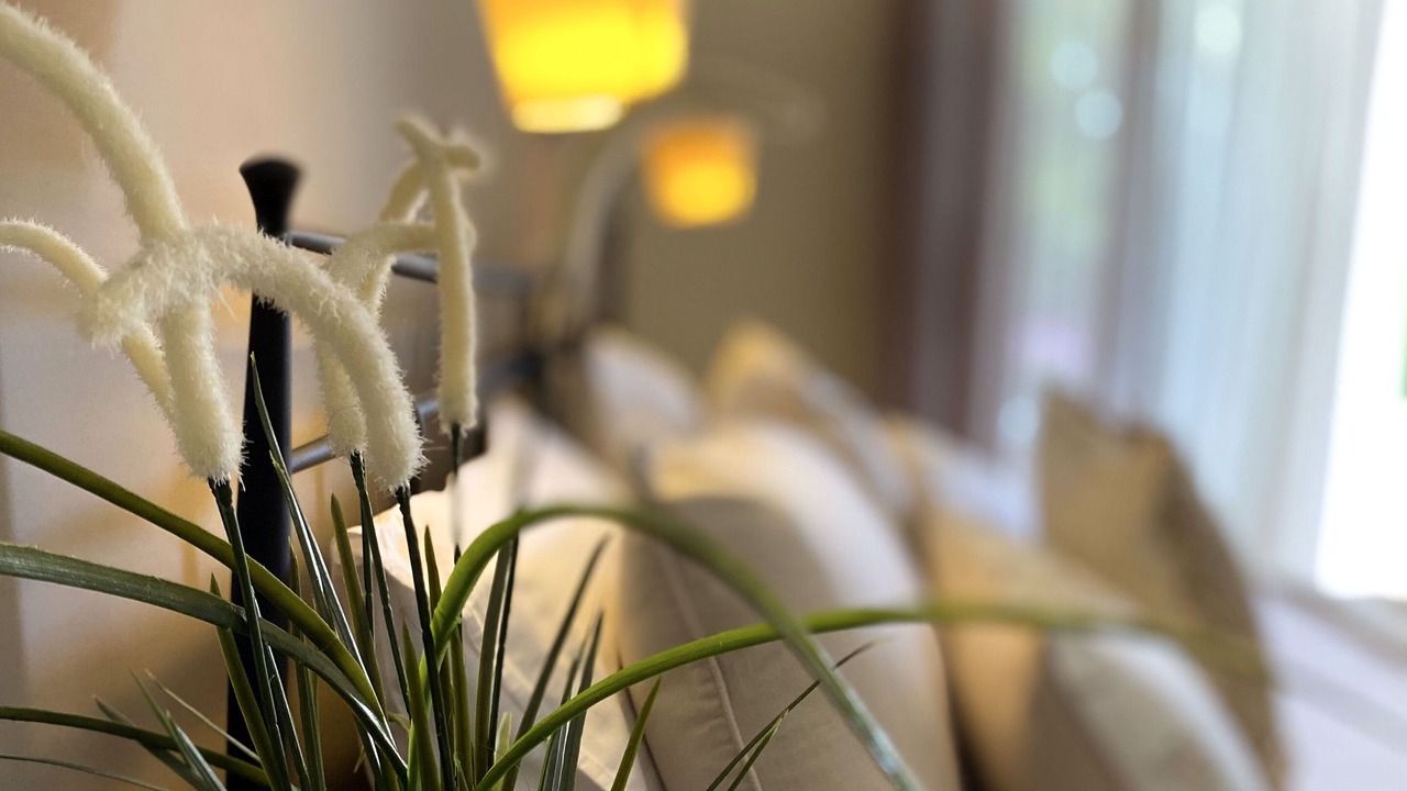Photo of Bedroom in Dassia