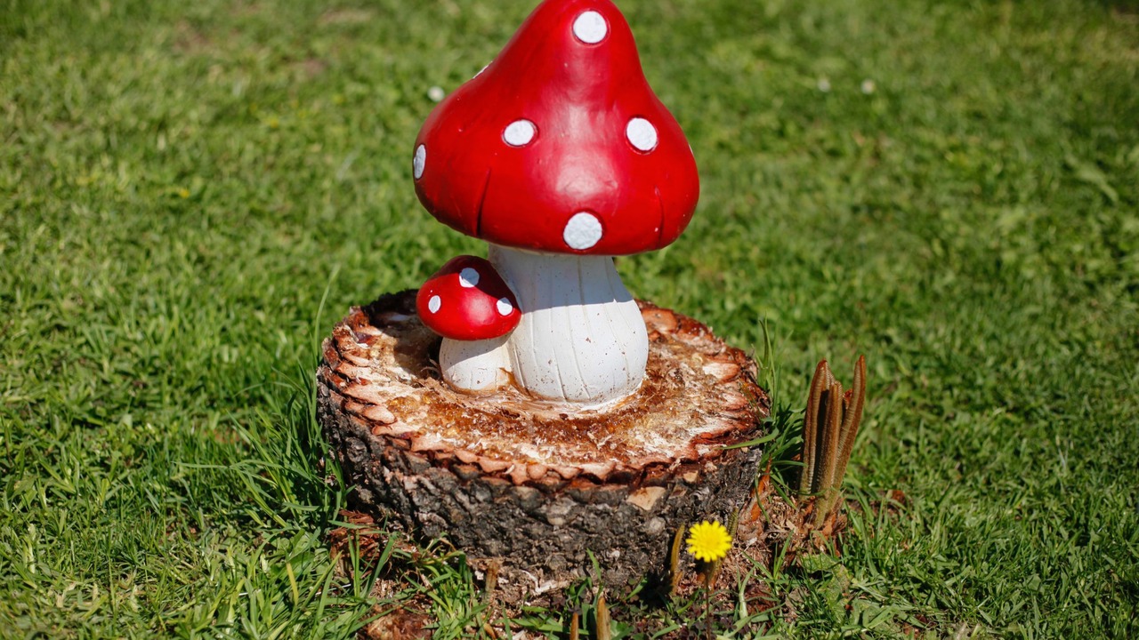 Photo of Outdoor in Termenades