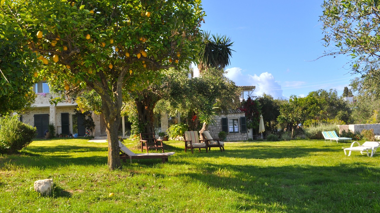 Photo of Patio Balcony in Pelekas