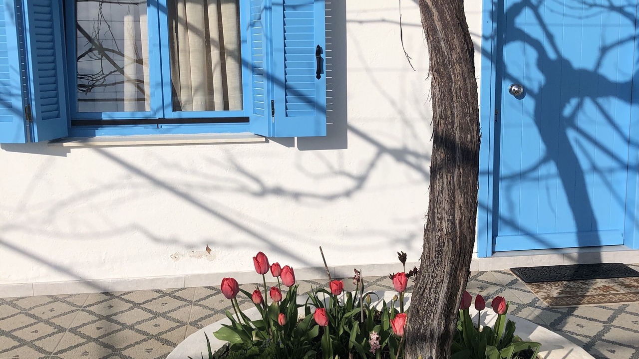 Photo of Outdoor in Kozani