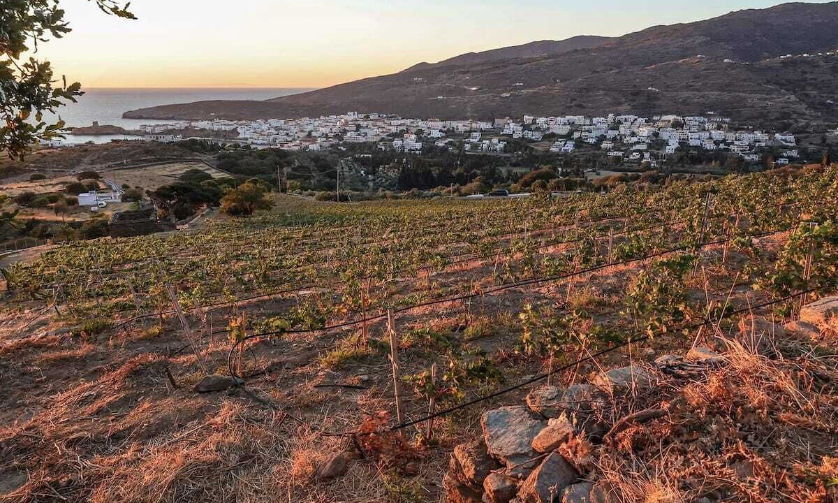 Photo of Outdoor in Paleopolis