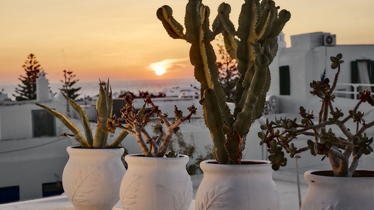 Photo of Patio Balcony in Ano Mera