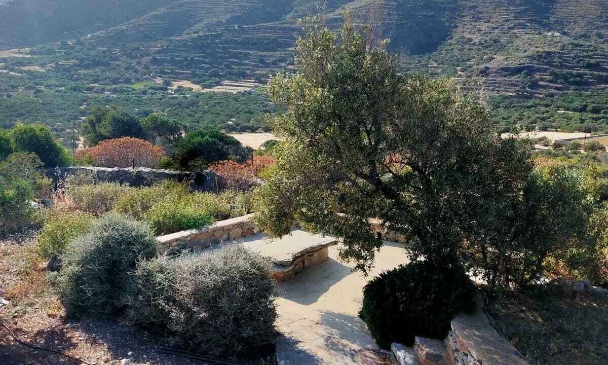 Photo of Outdoor in Tholaria