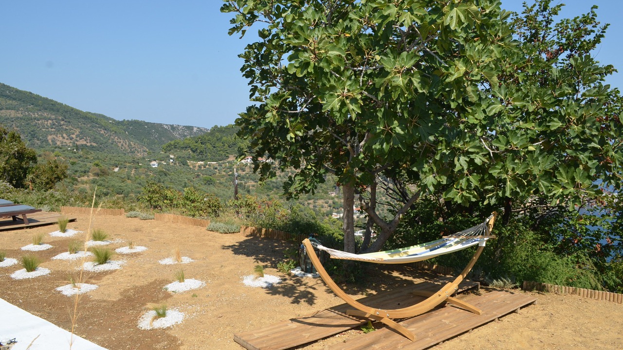 Photo of Outdoor in Skopelos