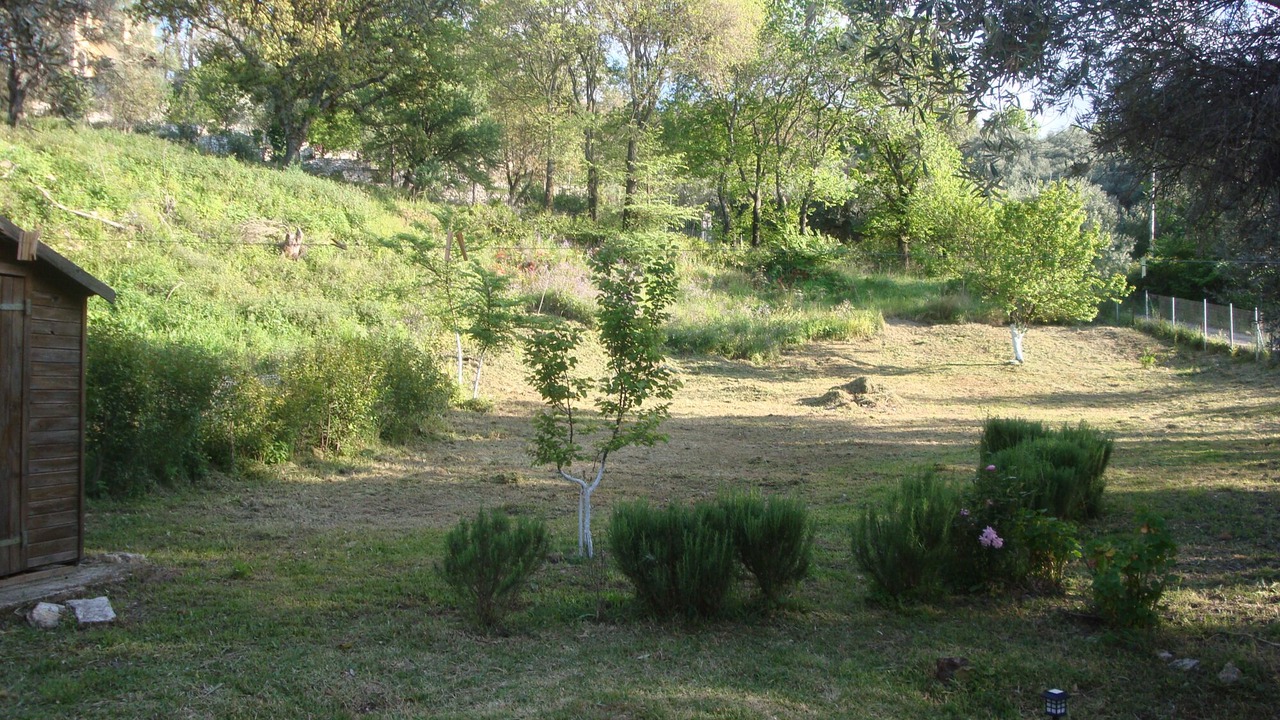 Photo of Outdoor in Almiros Beach