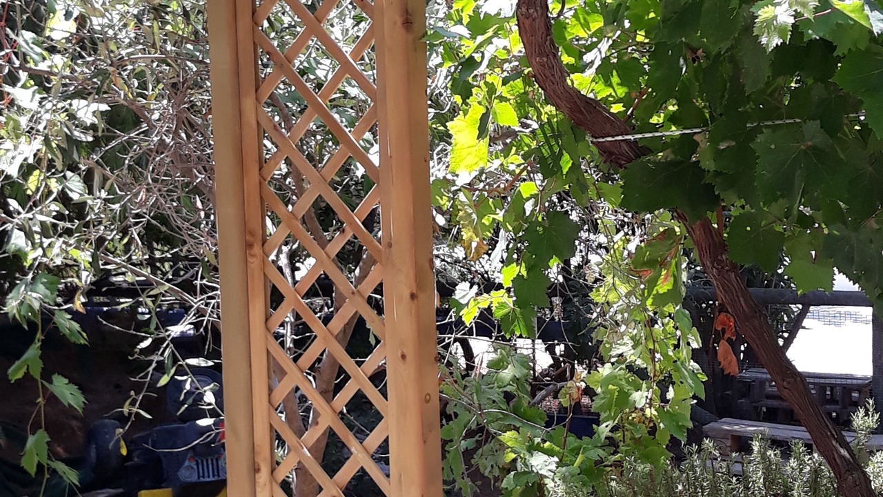 Photo of Outdoor in Plaka