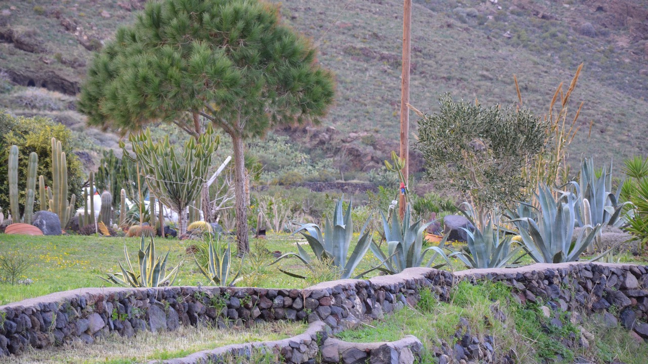 Photo of Outdoor in Imerovigli
